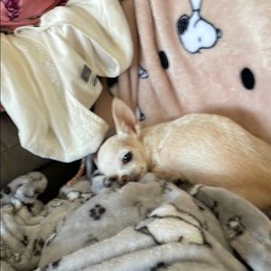 Meet your Posher, Cindy